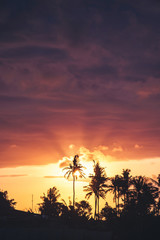 dramatic sunset with palm trees