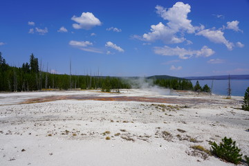 View of turquoise water pools in the West Thumb Geyser Basin in Yellowstone National Park, United States
