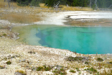 View of turquoise water pools in the West Thumb Geyser Basin in Yellowstone National Park, United States