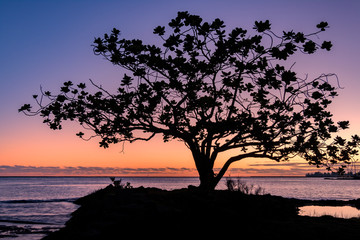 Fototapeta na wymiar Hilo Bay at Sunrise, Hawaii's Big Island
