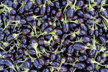 Fototapeta na wymiar Fresh organic raw purple eggplants in farmer market in India.