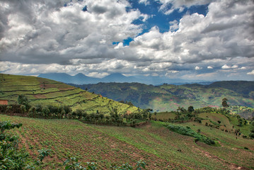 Uganda full hillside farmland with Muhavura Volcano in background
