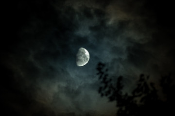 Naklejka na ściany i meble cloudy moon