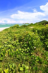Fototapeta na wymiar Anse de Sables Beach Saint Lucia