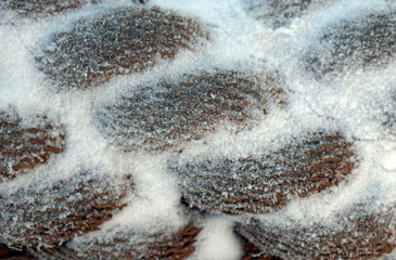 Snow and rope texture. Gray rope. Abstraction of the cell. Brown textiles. Winter.
