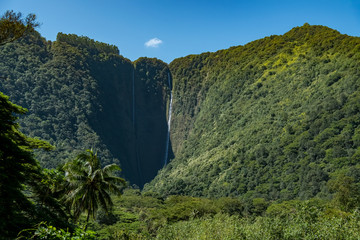 Waterfalls in Waipio Valley, Hawaii's Big Island