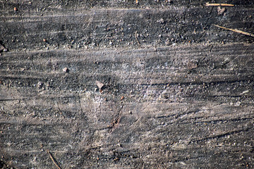 Wood texture of stump in dirt