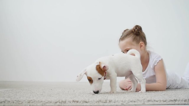 Pet concept. Cute girl playing with a dog at home in white interior