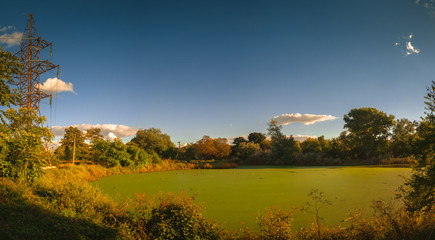 Old dirty pond covered with duckweed and mud