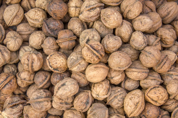 A lot of fresh brown walnuts lie in a pile. natural texture.