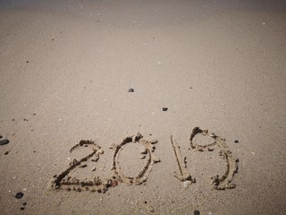 Year 2019