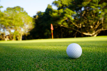 Golf ball on green in beautiful golf course at sunset background. Golf ball on green in golf course at Thailand
