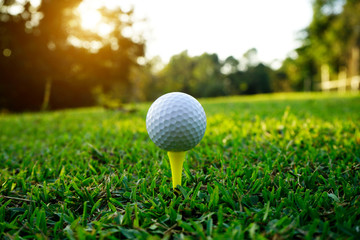 Golf ball on tee in beautiful golf course at sunset background.