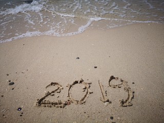 Year 2019