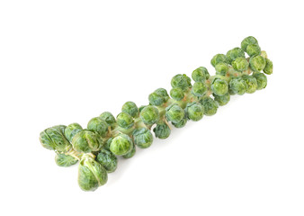 Brussels sprout isolated on white background