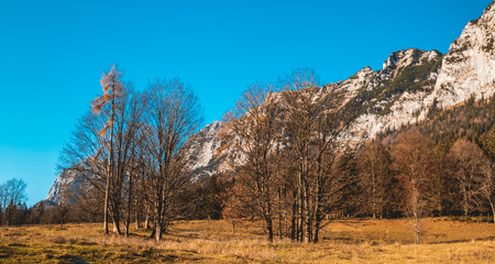 Beautiful alpine view near the Hintersee-Ramsau-Bavaria-Germany