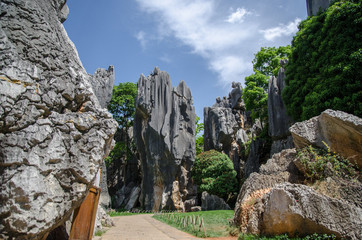 The limestone Stone forest on sunny day, Kunming Yunnan China.