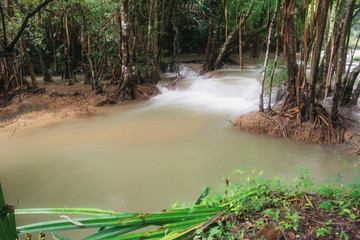 Waterfall and plant of spring.