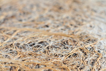 crowed dense roots from under the transplanting  flowerpot background