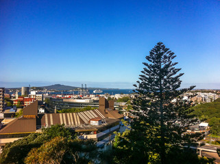 Naklejka premium Landscape of Auckland, New Zealand