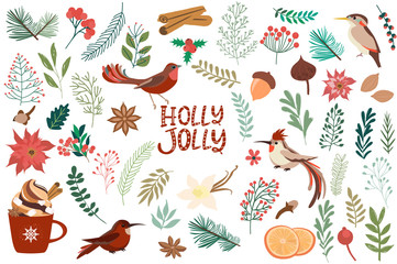 Collection elements for Merry Christmas and Happy New Year with christmas floral, spices and birds. Editable vector illustration