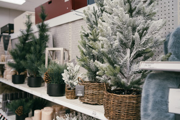 Christmas Shopping Xmas Products on Shelves Holidays Merry Retail