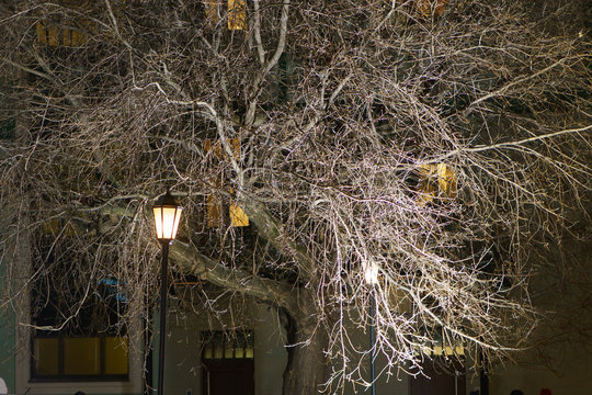 Image of the winter Moscow street. It seems that new Year coming just now. Mirical night.