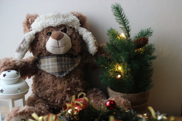 teddy bear with gift