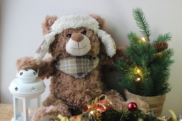 teddy bear with gift