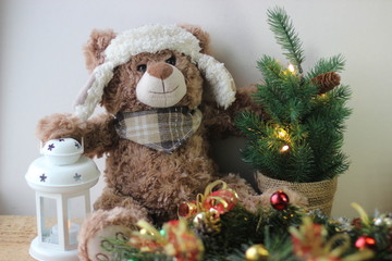 teddy bear with gift
