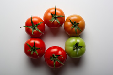 Evolution of red tomato isolated on white background