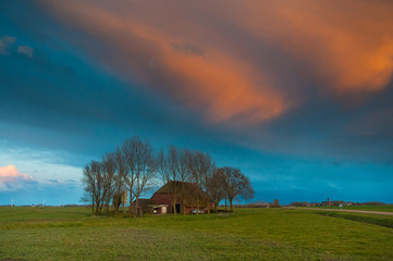 Fototapeta premium A tradiitonal Frisian farm, in the county side on a spring evening during magic hour.