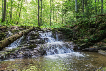 Obraz premium River mountain origin clean water summer.