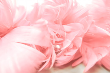 sweet color in soft blur style for background.