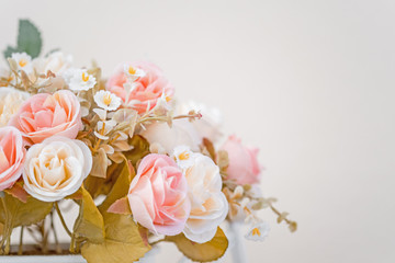 Beautiful pink flower in flower pot used for home decoration.