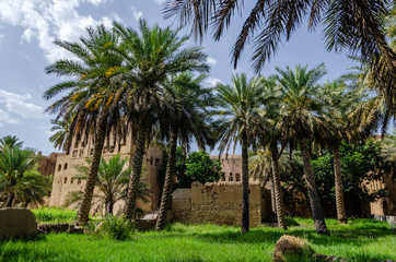 Obraz premium Ancient Arab farms