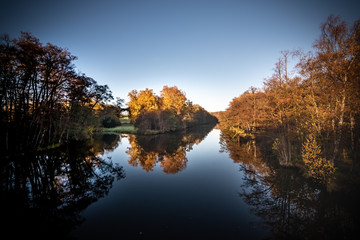 Lake view - trees reflecting in quiet water
