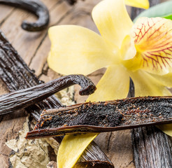 Dried vanilla fruits and vanilla orchid on wooden table.