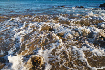 The beauty of very clean Atlantic ocean water in Gran Canaria island