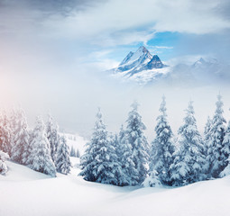 Obraz premium Creative collage. Location Swiss alps, Switzerland, Europe.