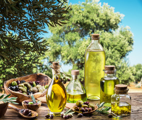 Olive oil and berries are on the wooden table under the olive tree.