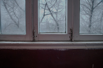 winter and window