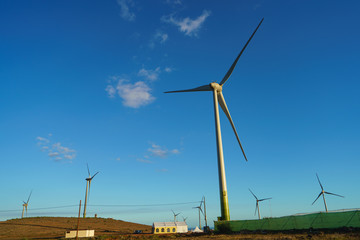 Ecofriendly wind turbines  of Gran Canaria island