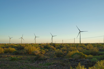 Fototapeta na wymiar Ecofriendly wind turbines of Gran Canaria island