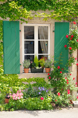 Fototapeta na wymiar Blumenfenster in Riquewihr