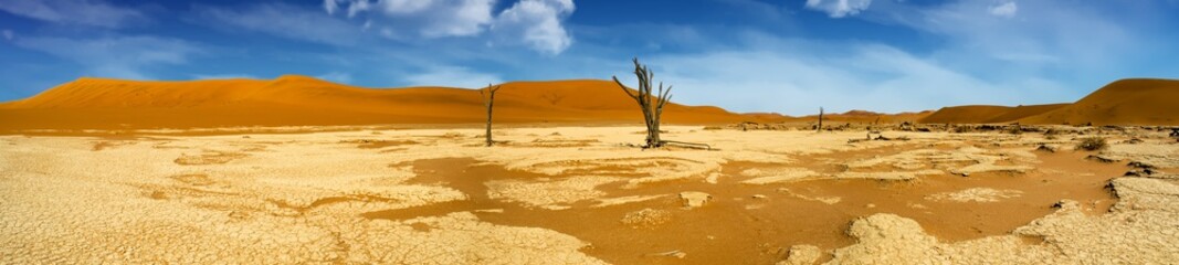 Deadvlei in Namibia