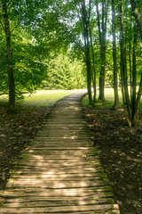 Fototapeta premium Path in Plitvice