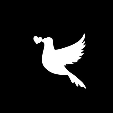 Vector white silhouette of flying pigeon with heart in beak on black background.