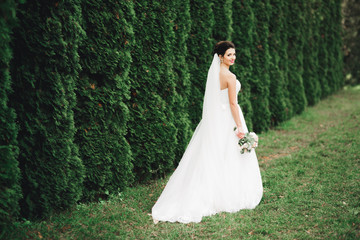 Portrait of a beautiful fashion bride, sweet and sensual. Wedding make up and hair