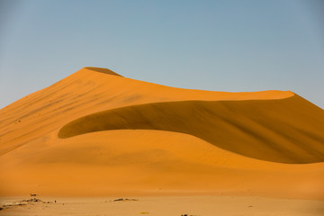 Fototapeta na wymiar Deadvlei in Namibia